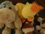 Immagine 2