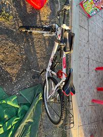 bicicletta sportiva