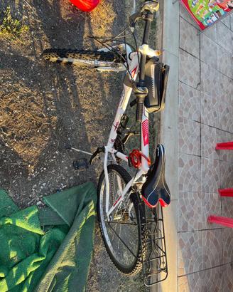 bicicletta sportiva