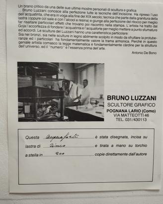 Opera del Luzzani