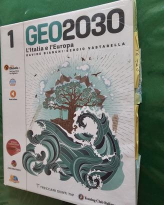 Geo2030. vol 1