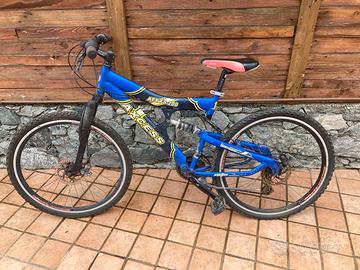 Bicicletta uomo media