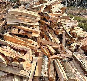 legna da ardere secca 