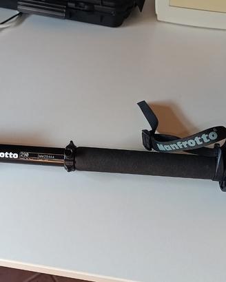 Monopiede Manfrotto MM294A4 Completo di testa 234R