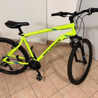 Bici rock rider