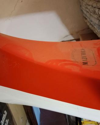 Canoa 2 posti vetroresina con pagaie