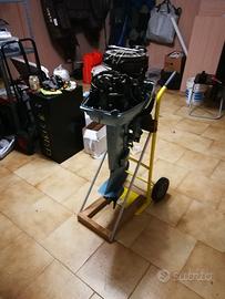 Evinrude 521 gambo corto