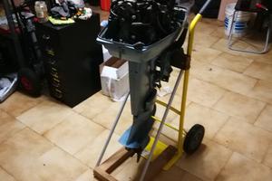 Evinrude 521 gambo corto