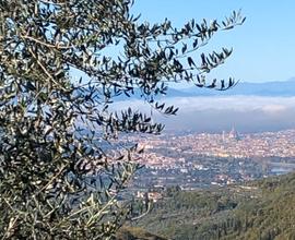 Terreno agricolo panoramicò