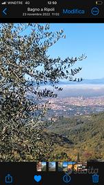 Terreno agricolo panoramicò