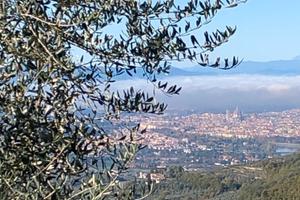Terreno agricolo panoramicò
