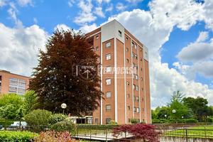 QUADRILOCALE CON BOX AUTO