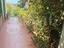 Immagine 17