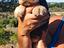 Immagine 5