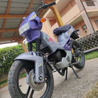 Atala Master 4LD NUOVO 800km