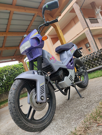 Atala Master 4LD NUOVO 800km