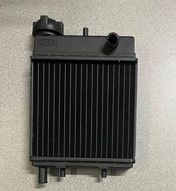 Radiatore Aprilia Red Rose