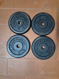 4 pesi da 5 kg