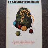 libro 'un sacchetto di biglie"