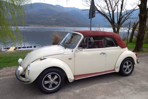 Volkswagen maggiolino