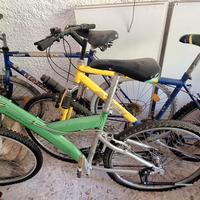3 Biciclette e 2 portabiciclette per auto