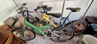 3 Biciclette e 2 portabiciclette per auto