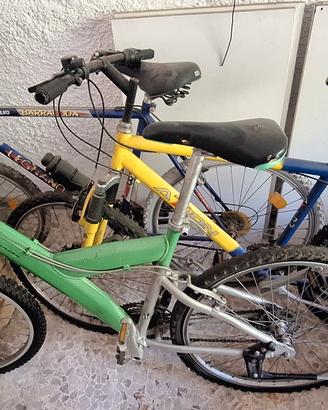 3 Biciclette e 2 portabiciclette per auto