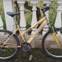 Bici