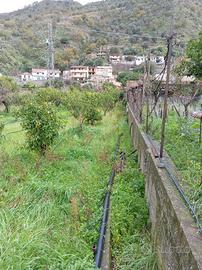 Terreno con alberi di bergamotto e da frutto