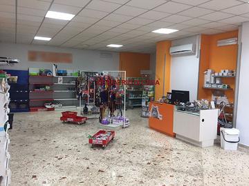 Locale, Politeama - Libertà Bassa, Palermo.