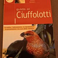 Guida ai ciuffolotti 