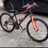 MTB 24 pollici 