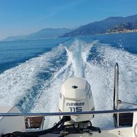 Evinrude e-tec 115 cv