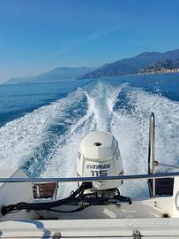 Evinrude e-tec 115 cv