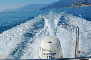 Evinrude e-tec 115 cv