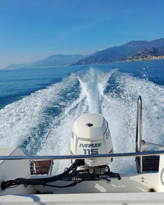 Evinrude e-tec 115 cv