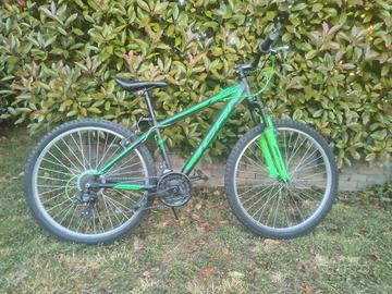 Bicicletta CARNIELLI CRN Offroad