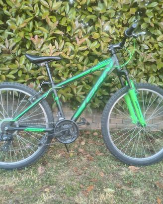 Bicicletta CARNIELLI CRN Offroad