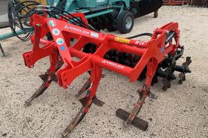 Dissodatore angeloni