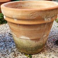 Vaso terracotta Vaserie in Toscana 