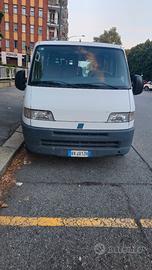 FIAT Ducato Panorama