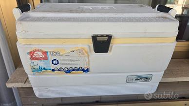 igloo marine