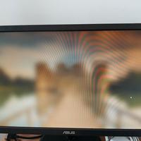 Monitor Asus 21 pollici