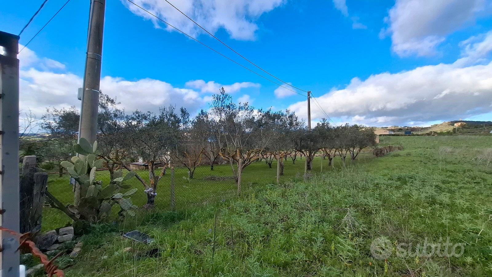 Terreno per villa o azienda - Vista 4