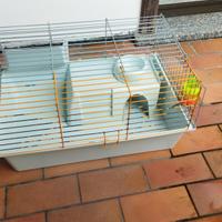gabbia per coniglio e accessori