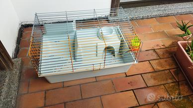 gabbia per coniglio e accessori
