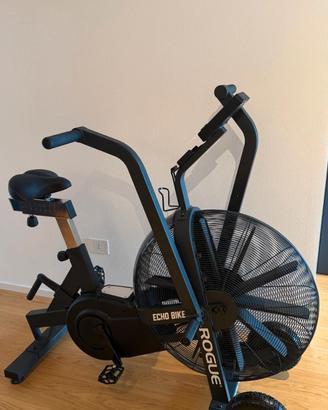 AirBike Rogue ECHO Bike 3,0 USATO 2025