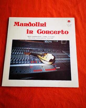 Mandolini in Concerto vinile 33 giri