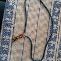 club topolino governatore