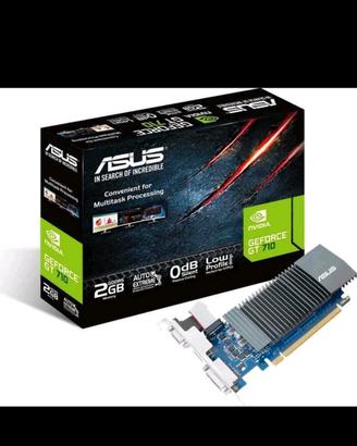 Asus scheda video 710 Nvidia 